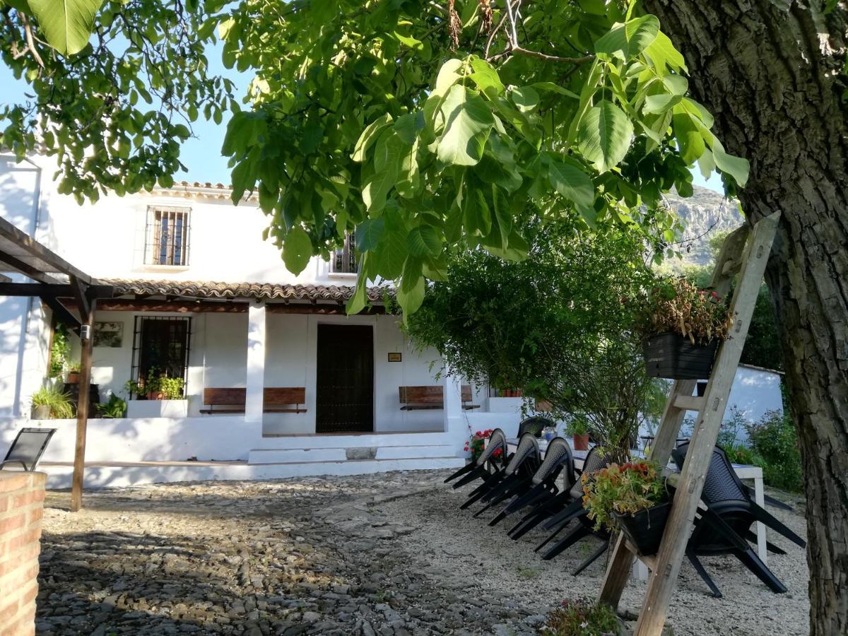 Casa Rural La Maquinilla Grazalema Esterno foto