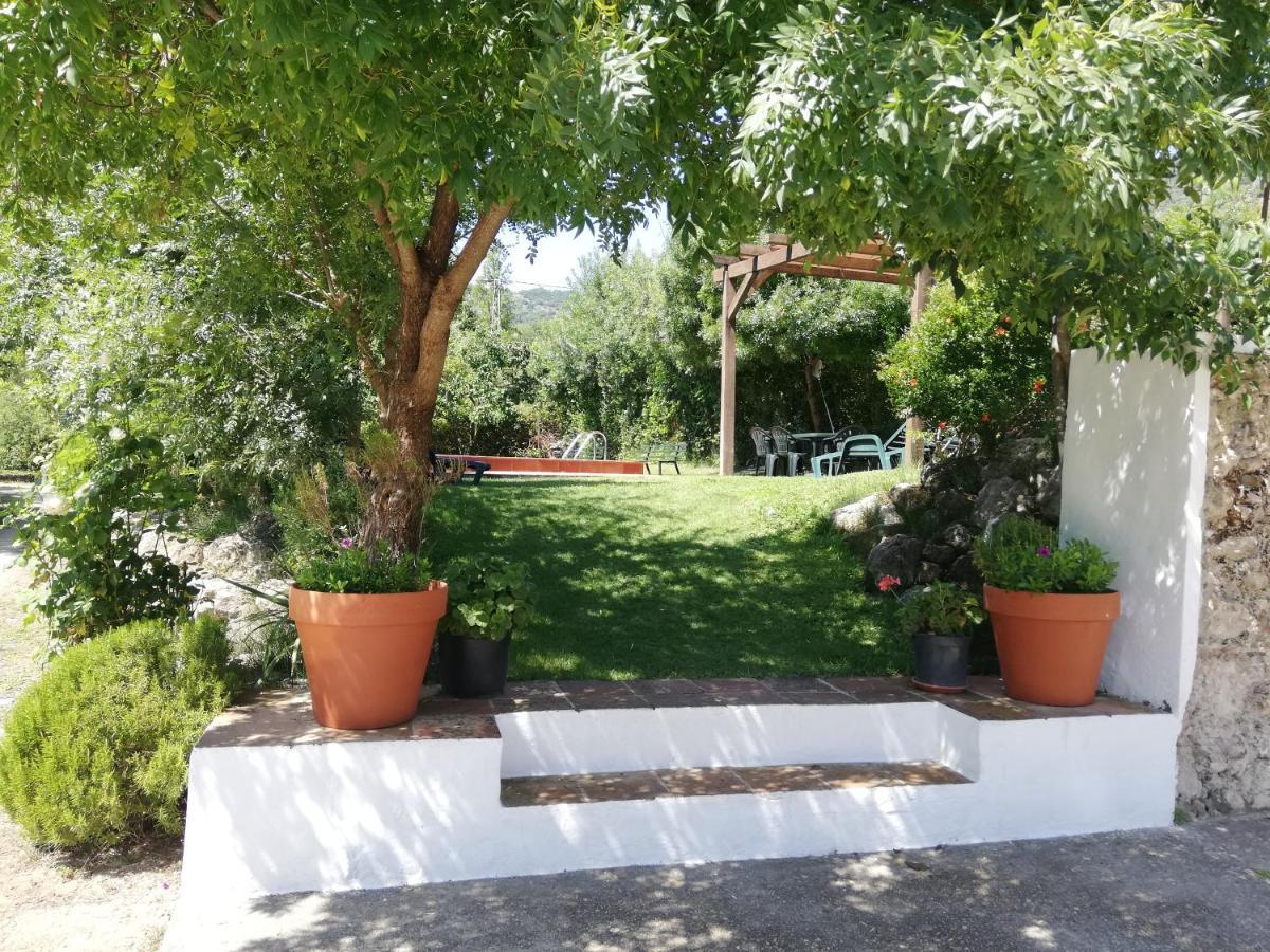 Casa Rural La Maquinilla Grazalema Esterno foto