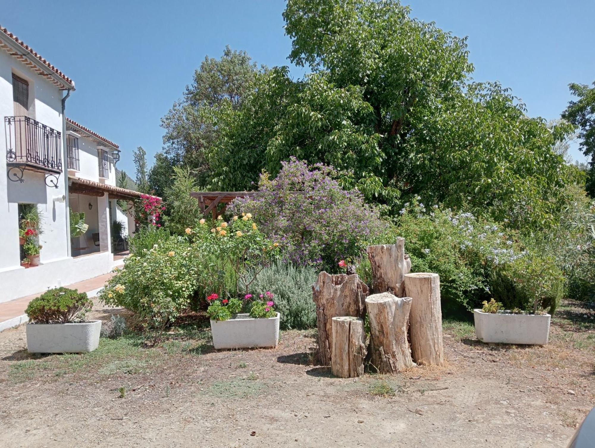 Casa Rural La Maquinilla Grazalema Esterno foto
