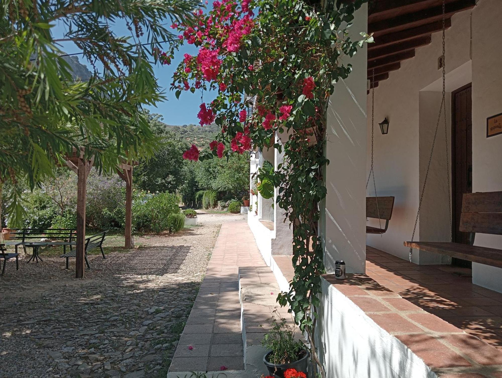 Casa Rural La Maquinilla Grazalema Esterno foto