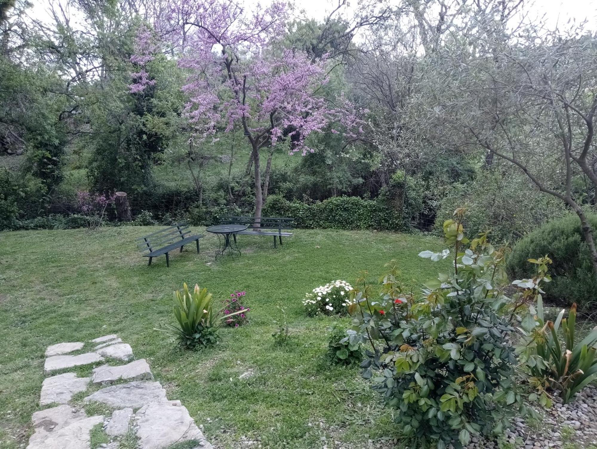 Casa Rural La Maquinilla Grazalema Esterno foto