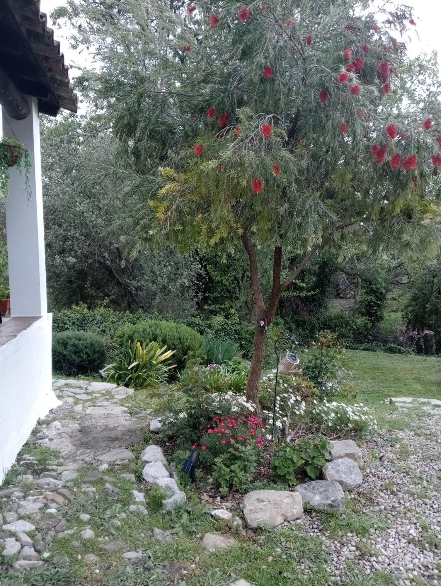 Casa Rural La Maquinilla Grazalema Esterno foto