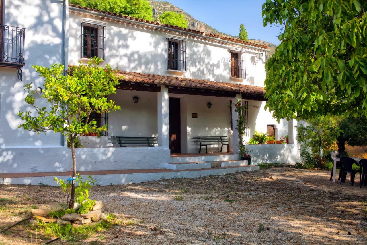 Casa Rural La Maquinilla Grazalema Esterno foto