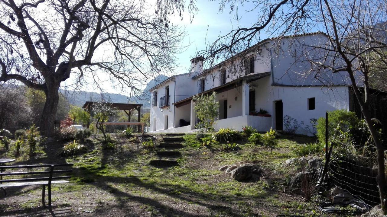 Casa Rural La Maquinilla Grazalema Esterno foto